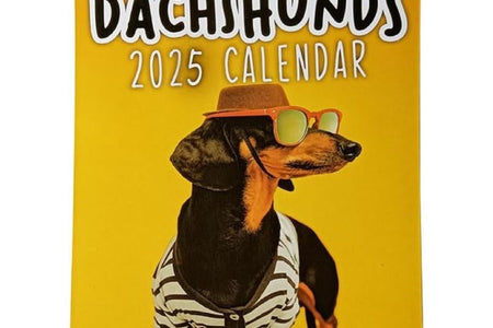 2025 New Calendar, Schedule Planning, Halloween Gift, Christmas Gift, New Year Gift
