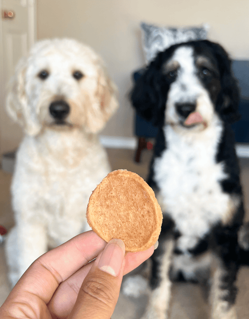 Load image into Gallery viewer, Chicken Chips for Dogs | All-Natural Single-Ingredient Dog Treats
